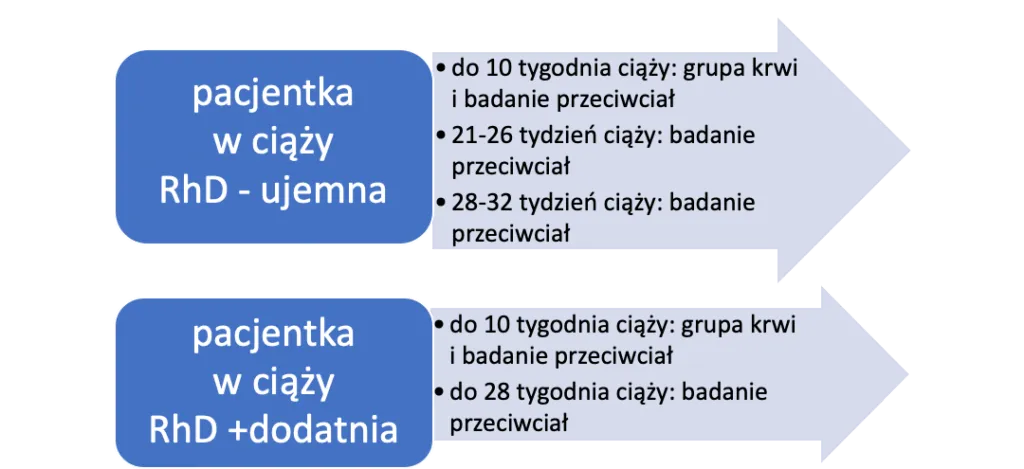 Zdjęcie Badanie grupy krwi w ciąży: ile razy i dlaczego jest konieczne?