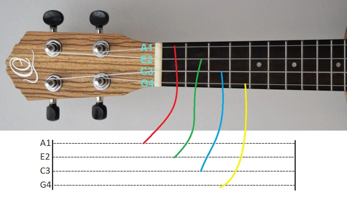 Zdjęcie Nauka czytania nut na ukulele: prosty sposób na rozpoczęcie przygody z muzyką