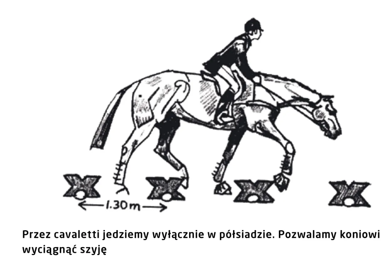 Rysowanie konia w galopie etapy