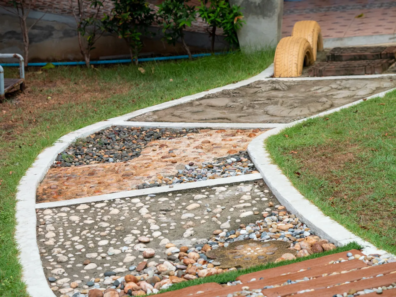 Rośliny do ogrodu sensorycznego