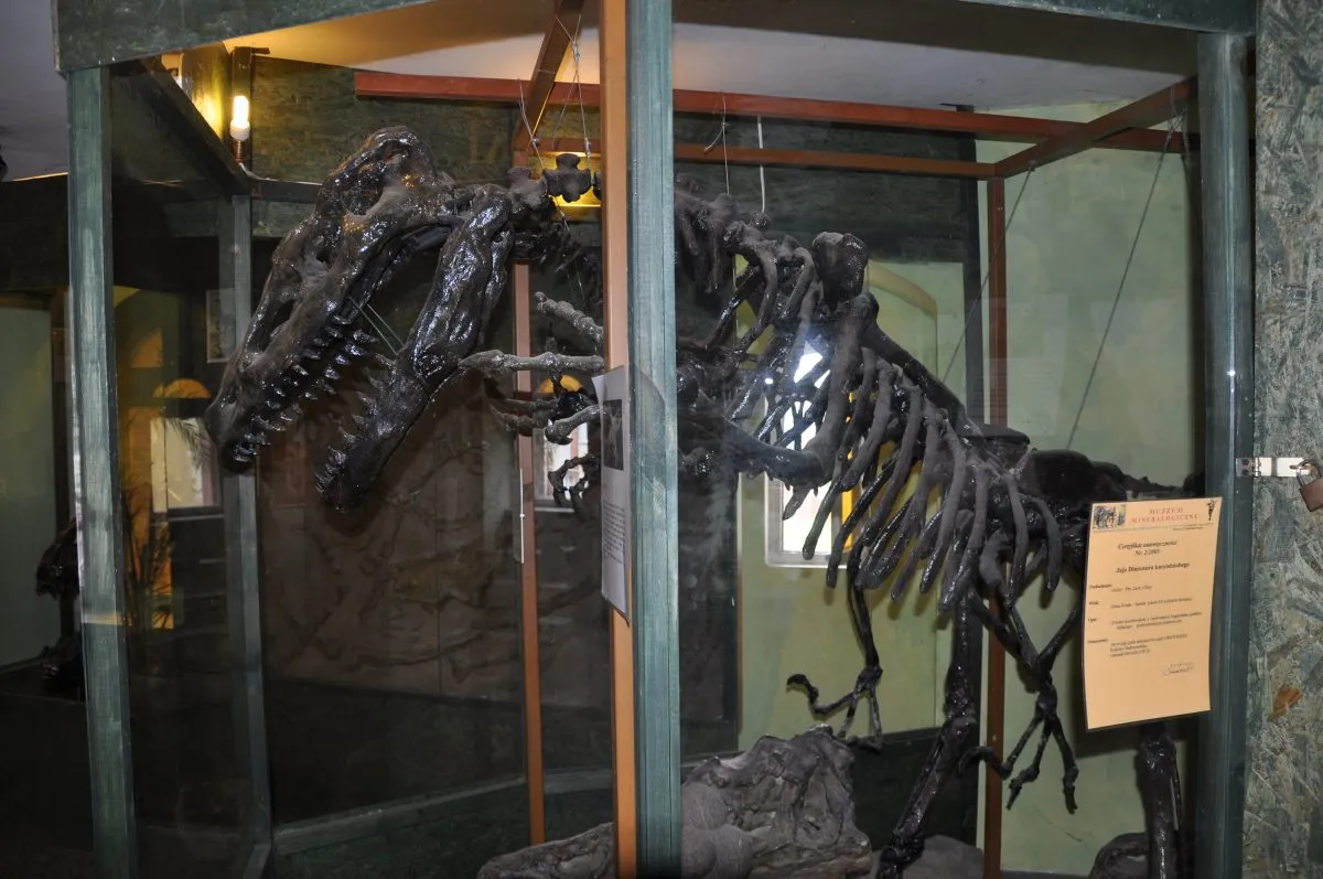 Muzeum Kamieni Baszta Wolińska dinozaury