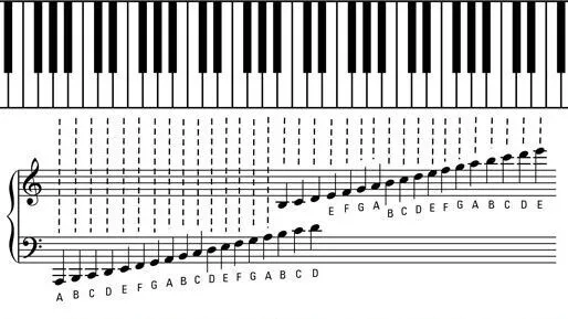 cała nuta na pięciolinii klucz wiolinowy i basowy