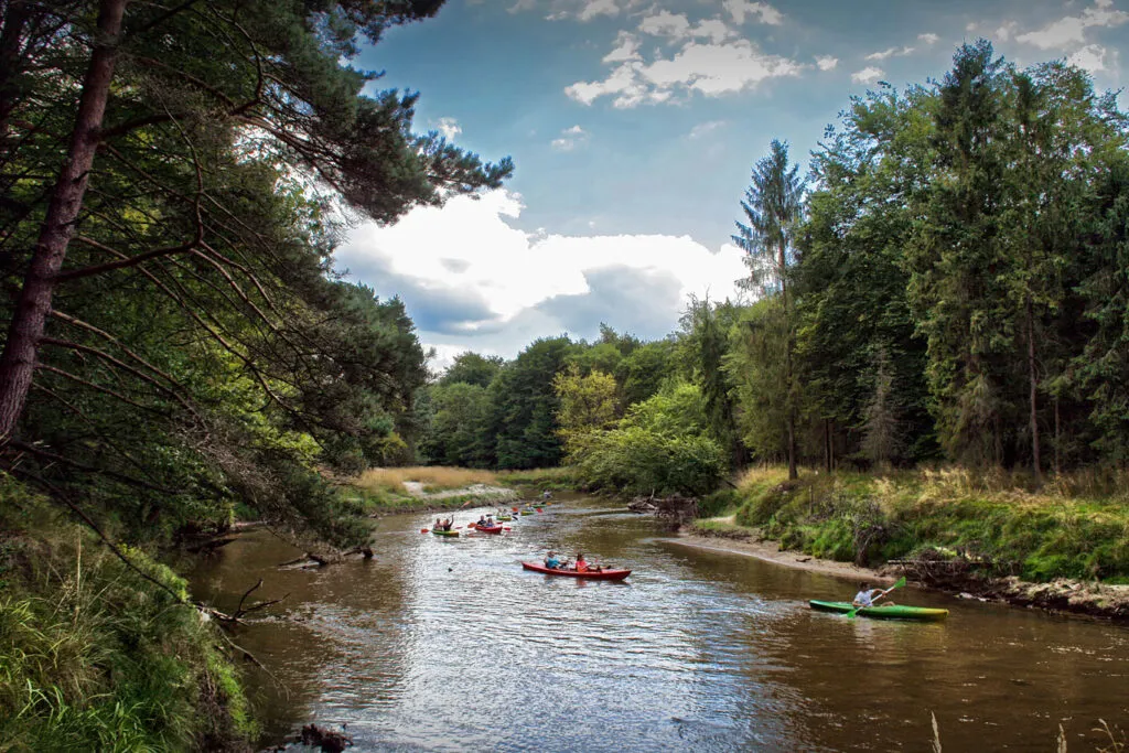 kajaki Mała Panew widoki rzeka las