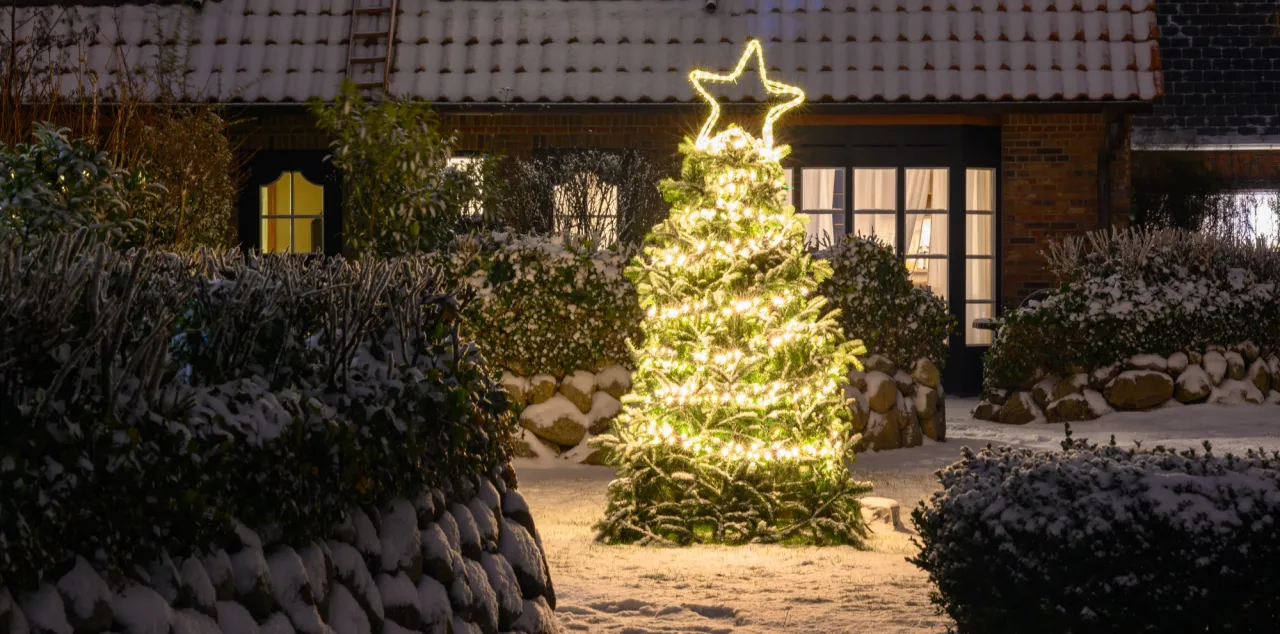 Śnieżny ogr&oacute;d rozświetla choinka z gwiazdą, inspirując, jak udekorować ogr&oacute;d na święta bożego narodzenia.