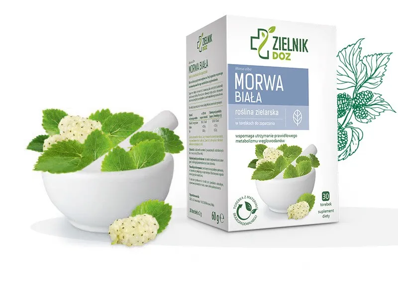 zioła na odchudzanie pokrzywa morwa biała mięta czystek