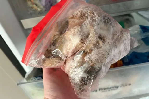 zepsute mrożone grzyby wygląd