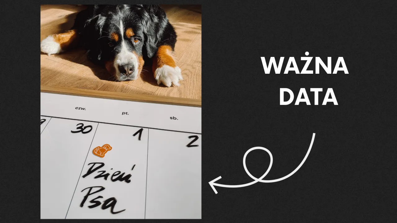 Dzień Psa kalendarz daty