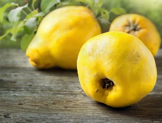 dojrzałe owoce pigwy na targu