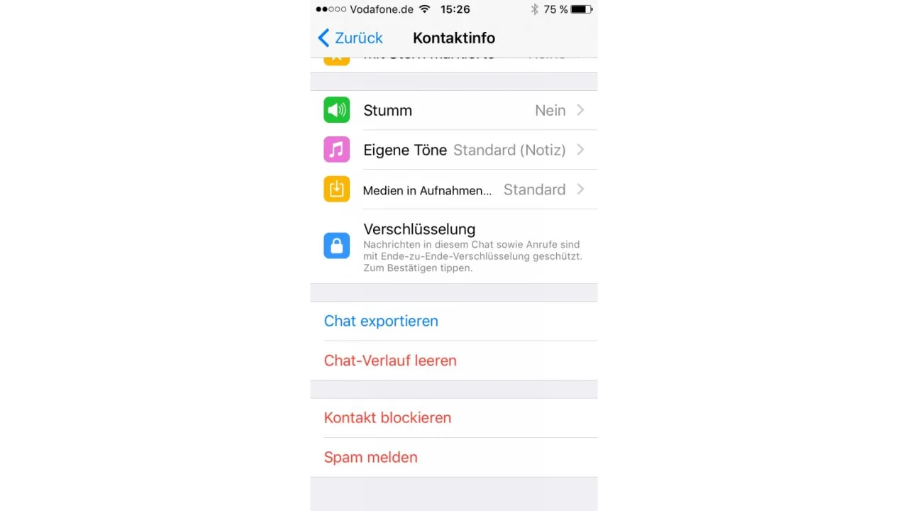 WhatsApp Spam melden blockieren