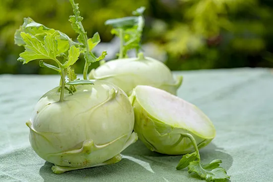 Chou-rave frais au marché