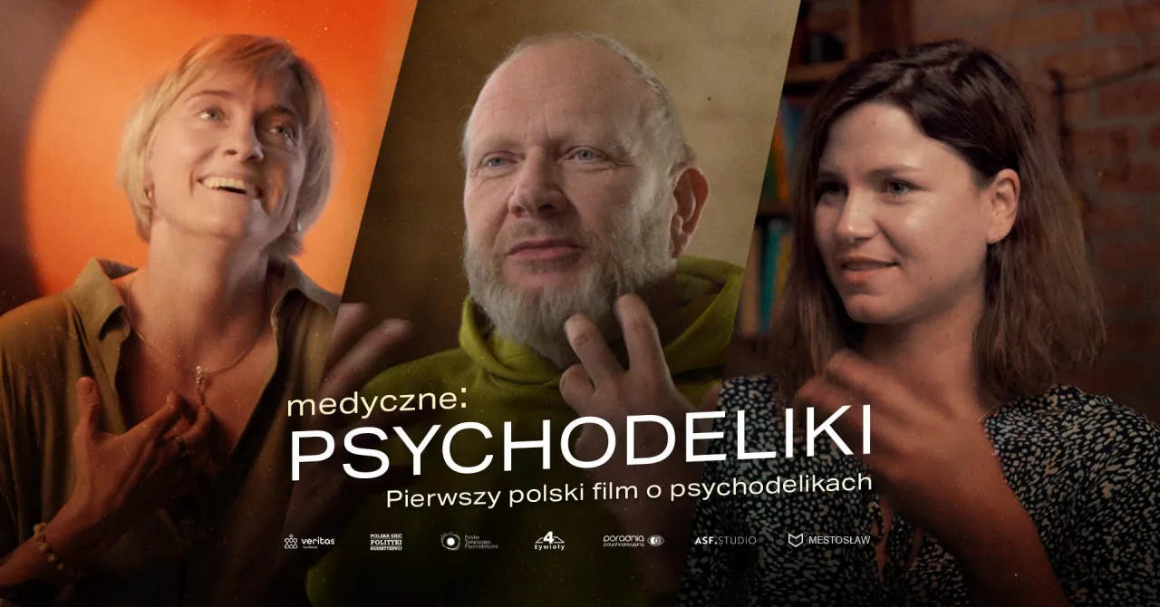 Polskie prawo psychodeliki kary