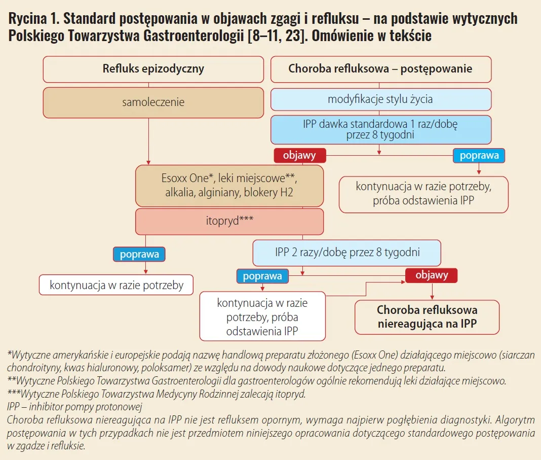 Rodzaje lek&oacute;w na zgagę schemat