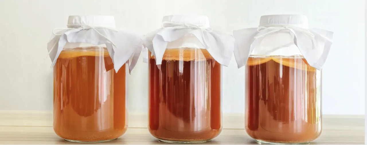 Termometr w słoiku z kombuchą