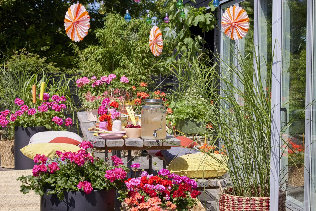 Kwitnący balkon z pelargoniami i surfiniami