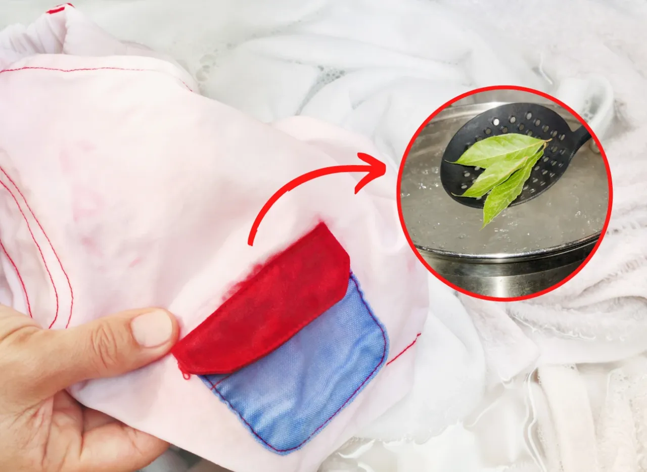 Zafarbowana biała bluzka w wodzie z liśćmi laurowymi. Jak uratować zafarbowaną białą bluzkę?
