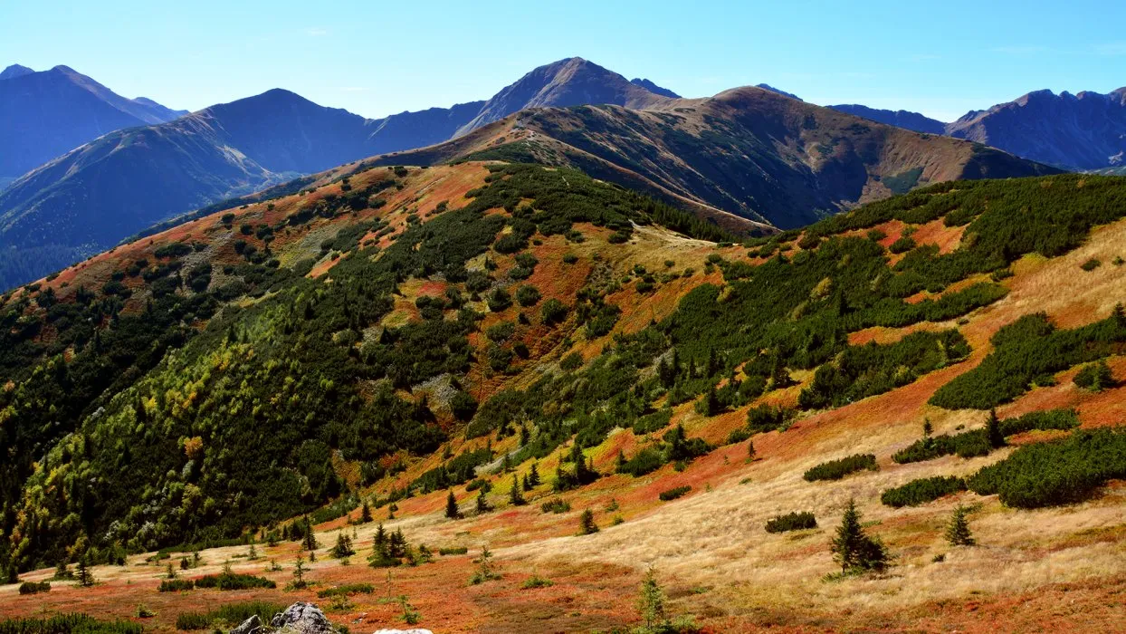 Dolina Kościeliska jesienią Tatry