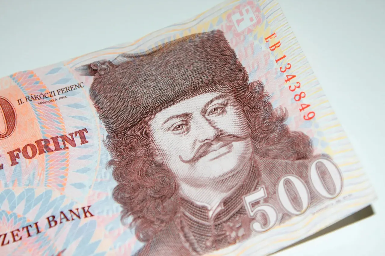 Portret mężczyzny w futrzanej czapce na banknocie 500 forint&oacute;w. To węgierska waluta.