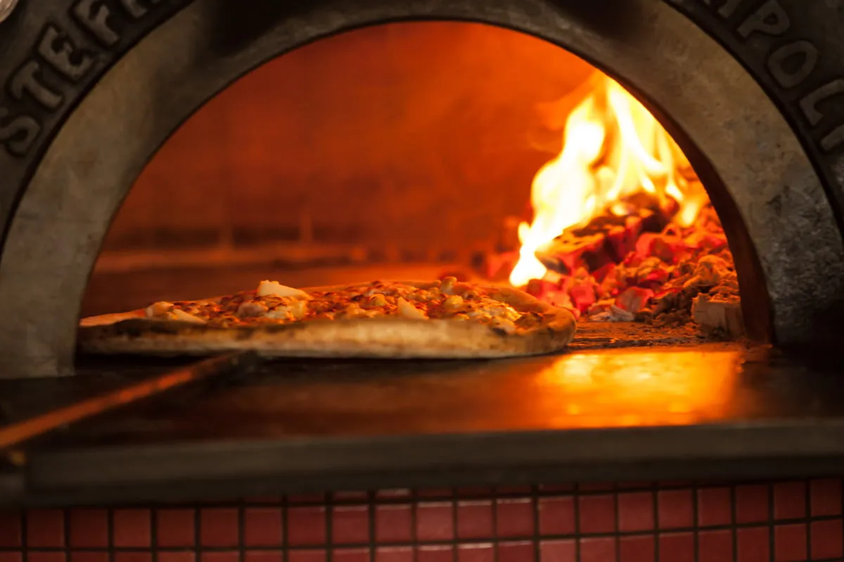 pizza four pierre réfractaire haute température