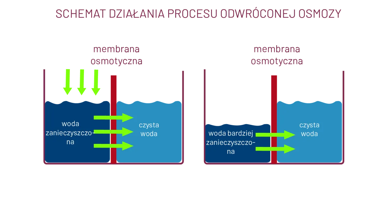 Schemat odwróconej osmozy pokazuje, jak obniżyć twardość wody w akwarium, oddzielając zanieczyszczenia od czystej wody za pomocą membrany.