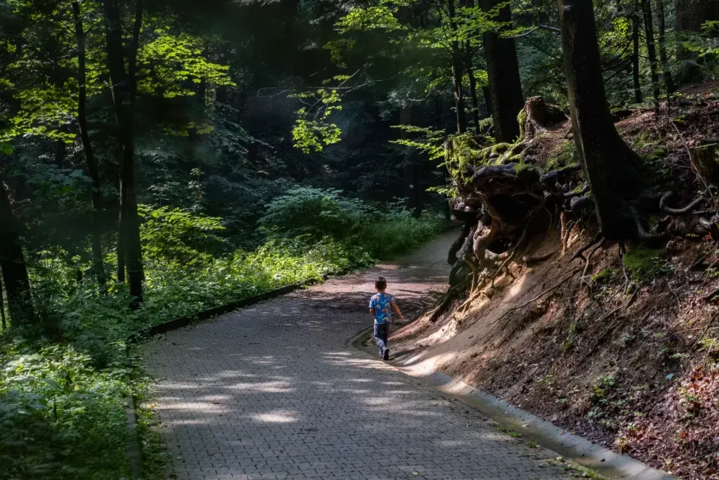 Iwonicz Zdrój góra Przedziwna widok