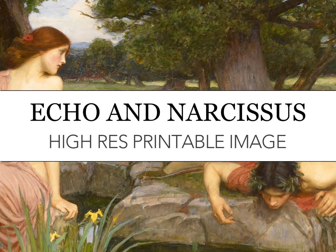 Baśń o Narcyzie: młoda kobieta z rudymi włosami patrzy w stronę młodzieńca pochylonego nad wodą, który zachwyca się własnym odbiciem.