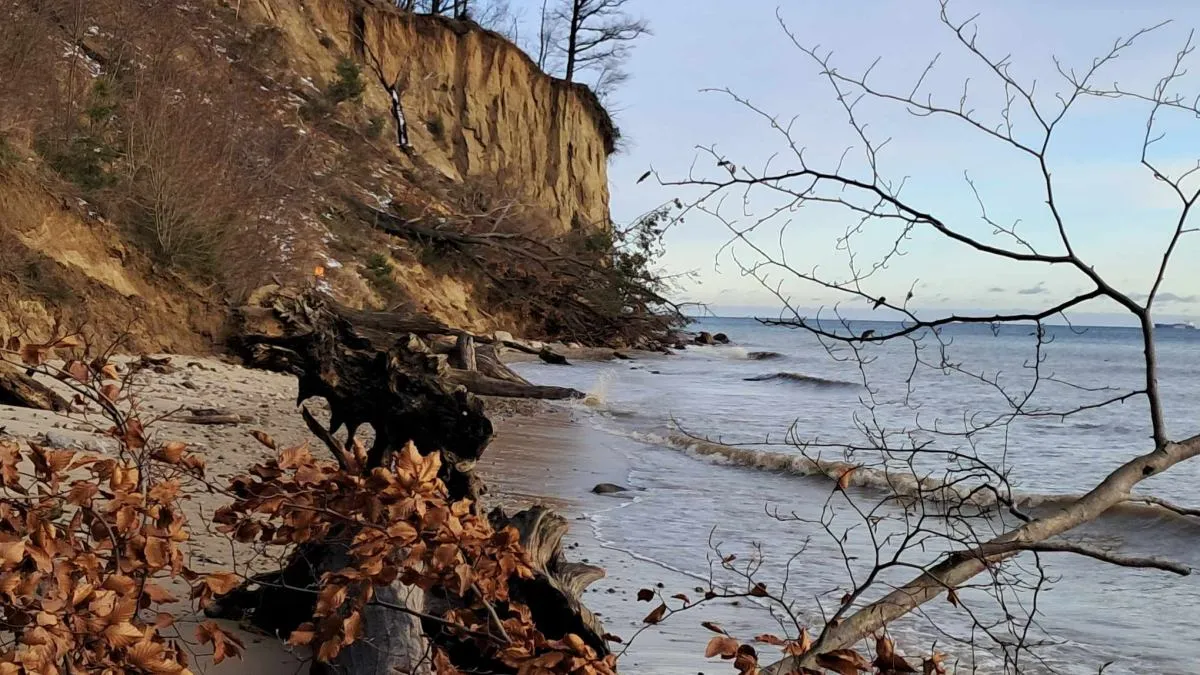 plaża po sztormie bałtyk