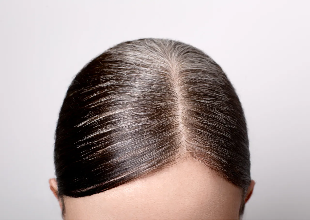 henna na siwe włosy przed po