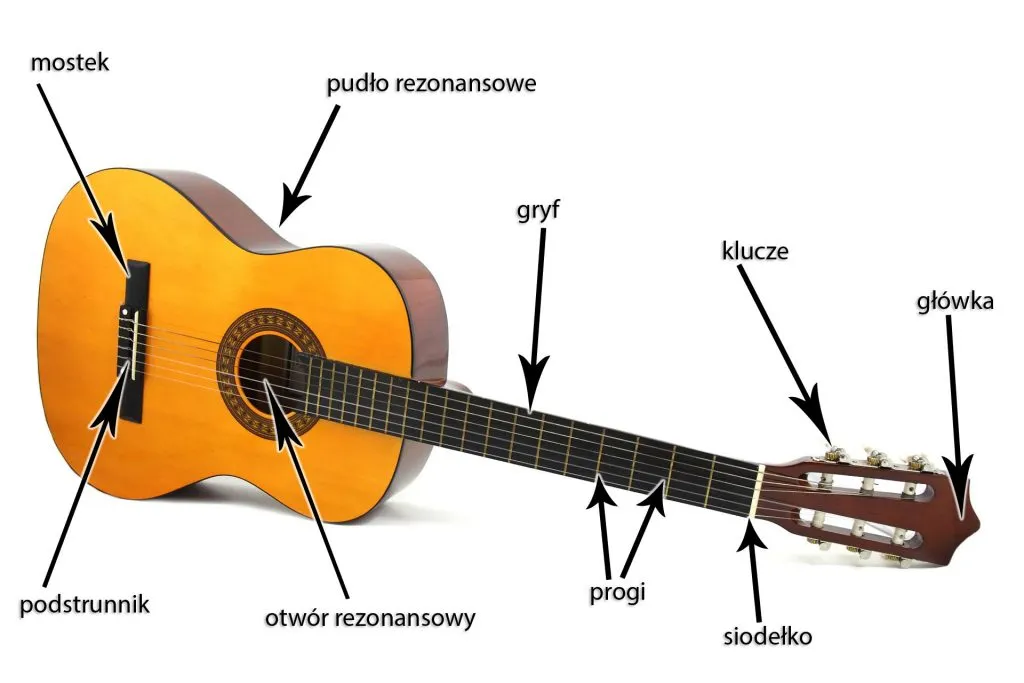 gitara klasyczna vs elektryczna budowa schemat