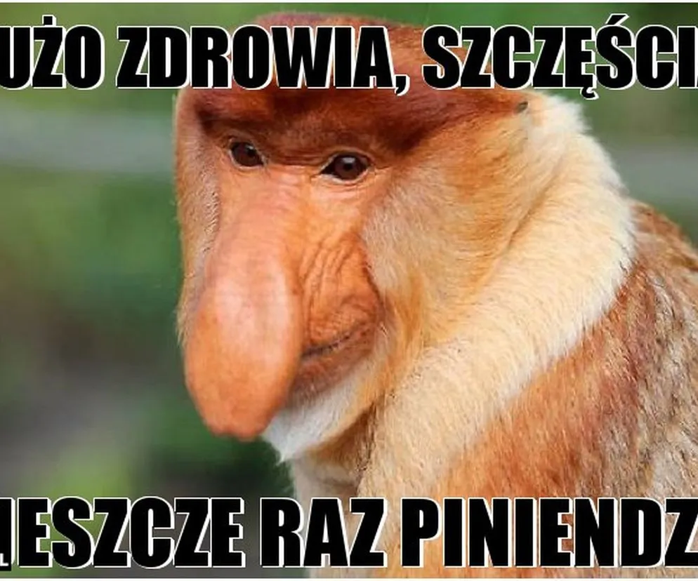 śmieszne memy urodzinowe przykłady