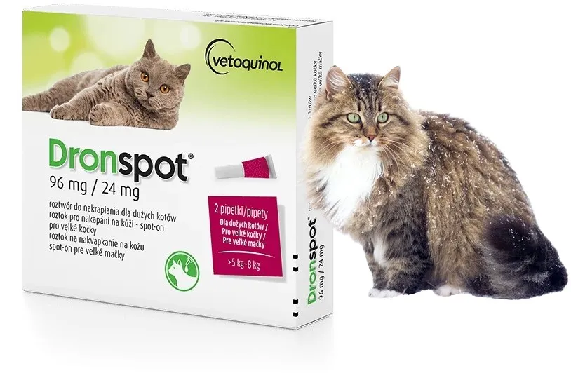 preparaty na odrobaczanie kota tabletki krople spot-on pasta