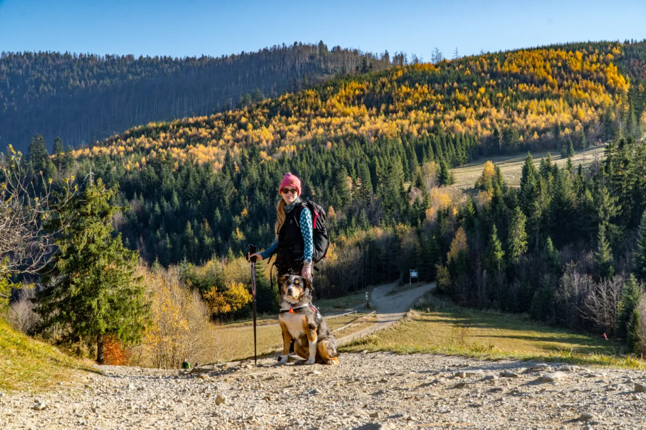 Bacówka Światowid Beskidek