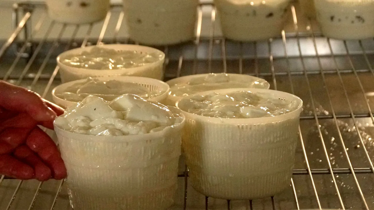 domowy ser kozi w typie oscypka proces krok po kroku