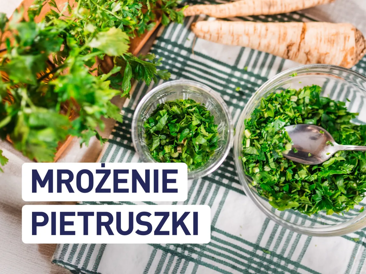 Jak mrozić pietruszkę: posiekana zielenina w miseczkach, gotowa do zamrożenia.