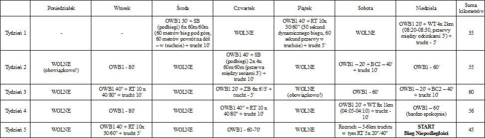 Zdjęcie 10 km w 40 minut: Tw&oacute;j plan treningowy krok po kroku