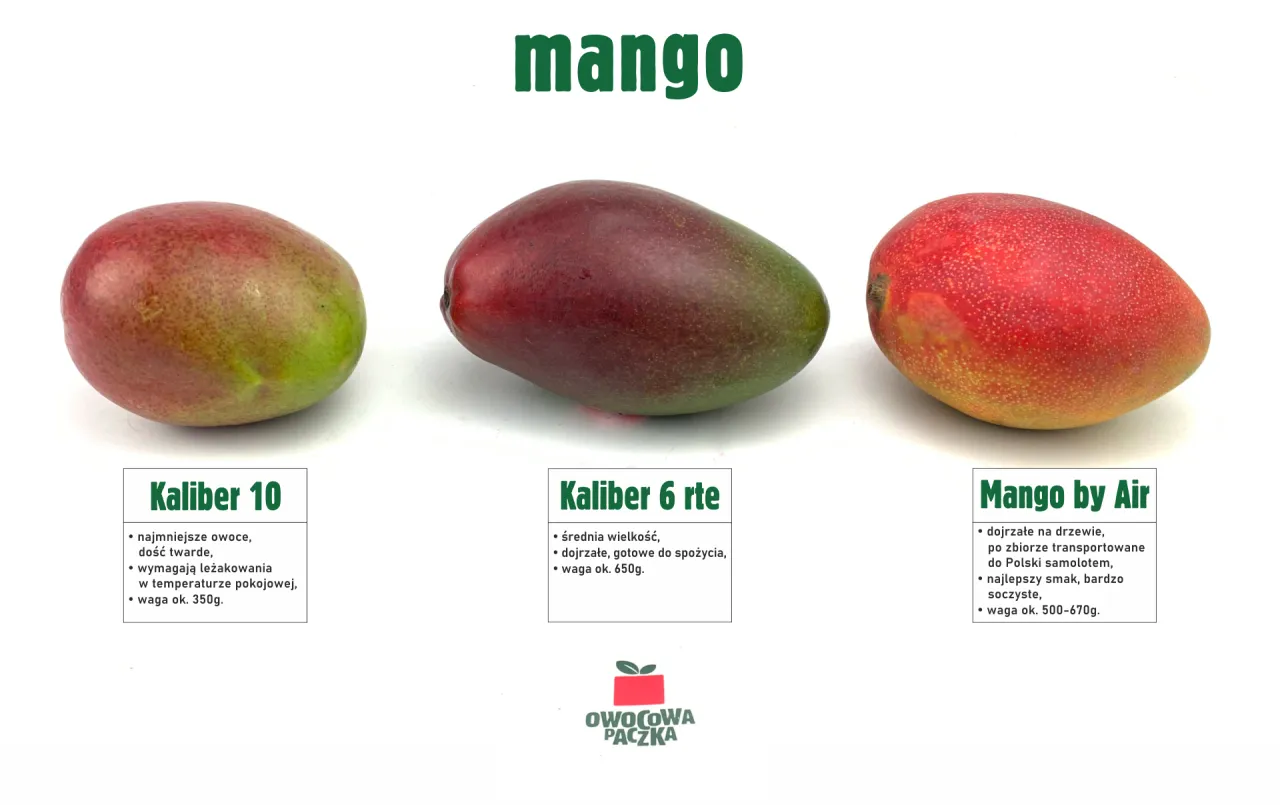 Zdjęcie Kaloryczność mango - wszystko co musisz wiedzieć o wartościach odżywczych