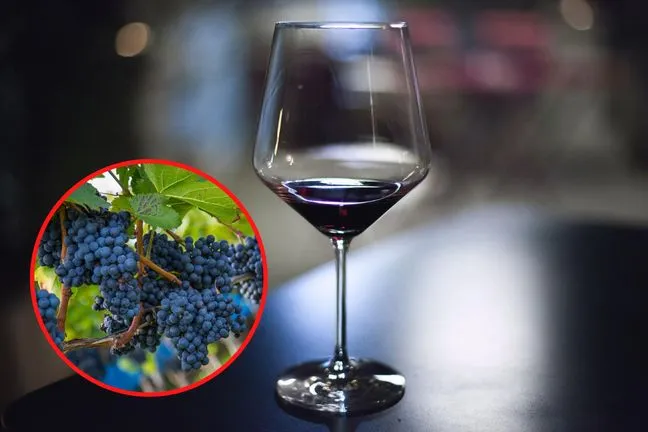 Zdjęcie Czy czerwone wino obniża cukier? Odkryj jego wpływ na zdrowie