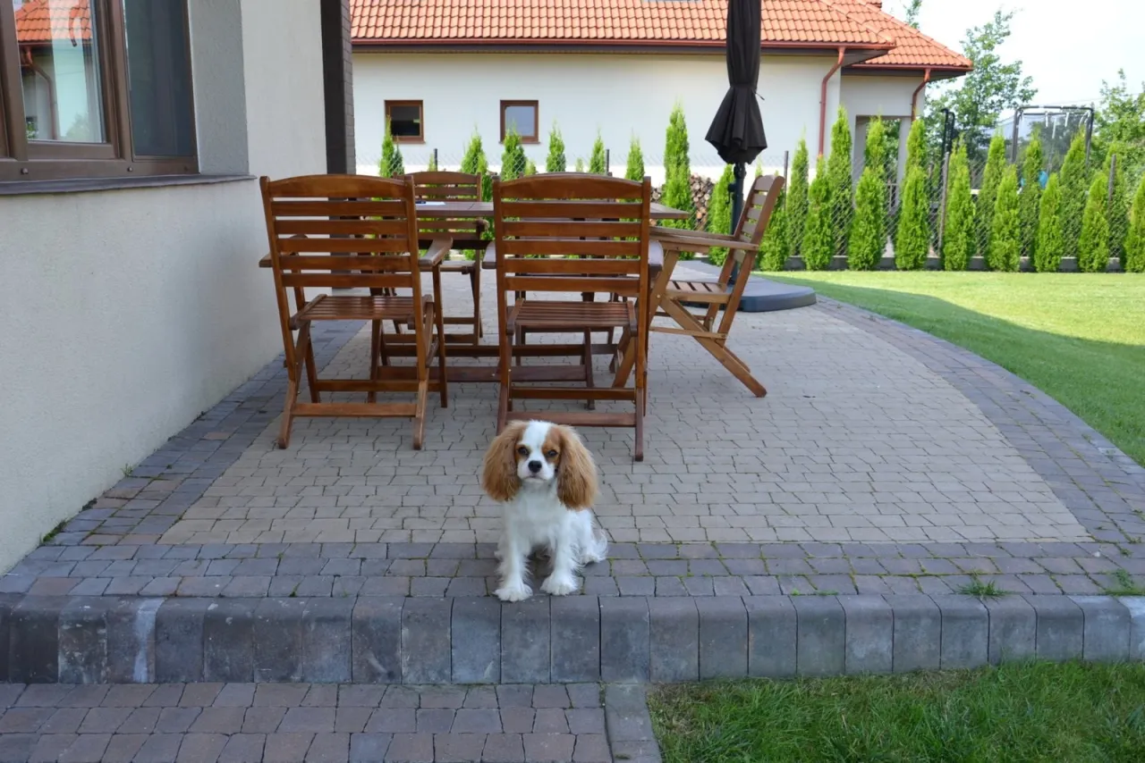 montaż tarasu drewnianego krok po kroku