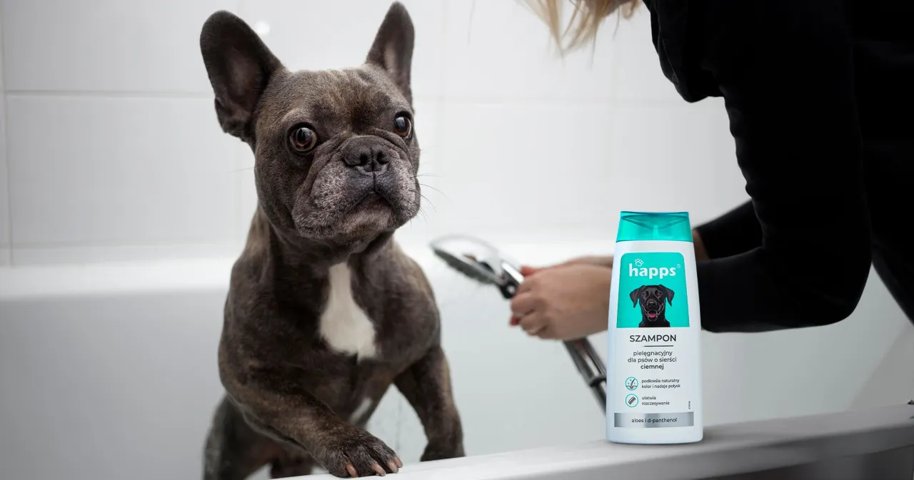 pies kąpiel szampon online zakupy