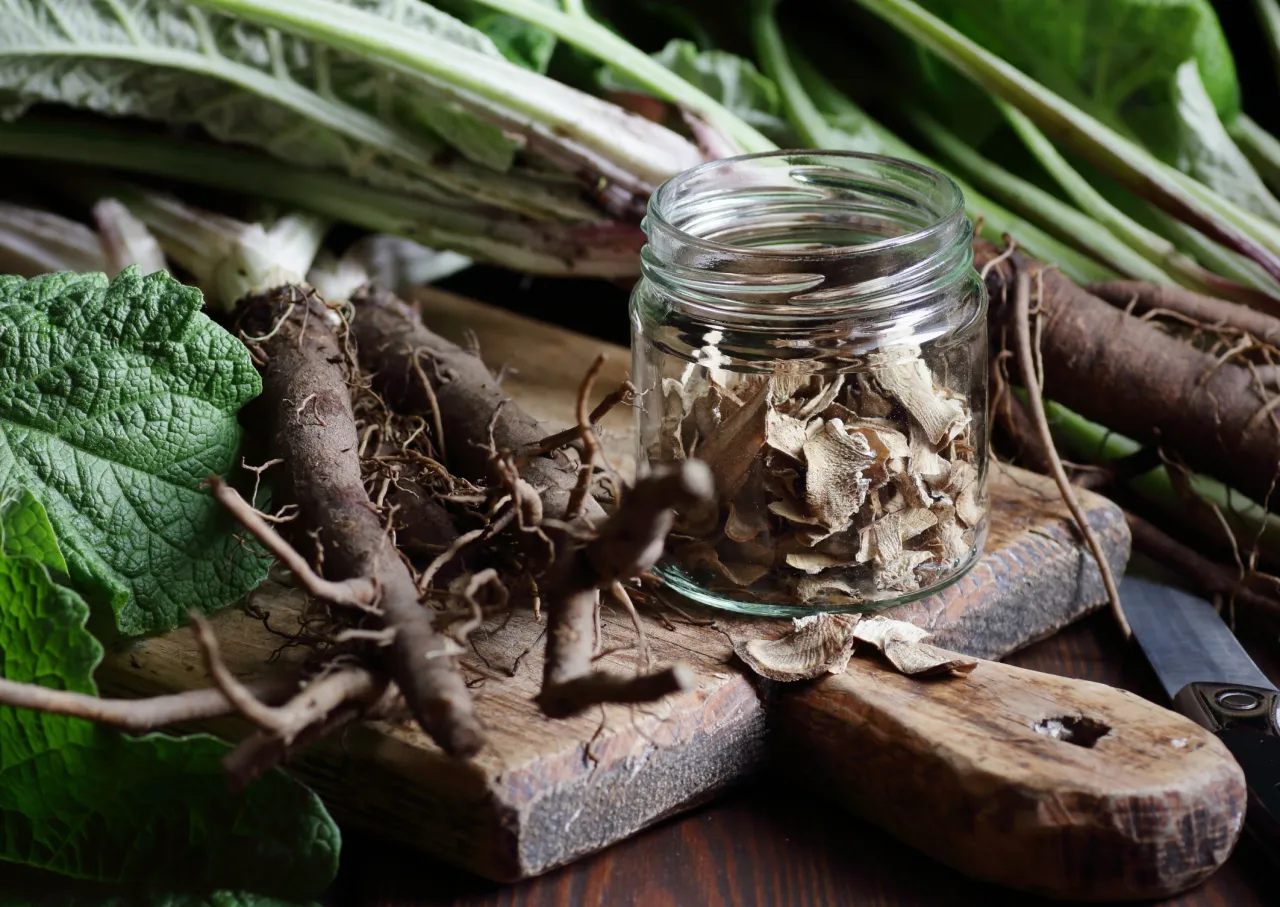 usuwanie korzenia łopianu widły amerykańskie