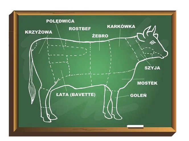 podział tuszy wołowej, elementy wołowiny schemat