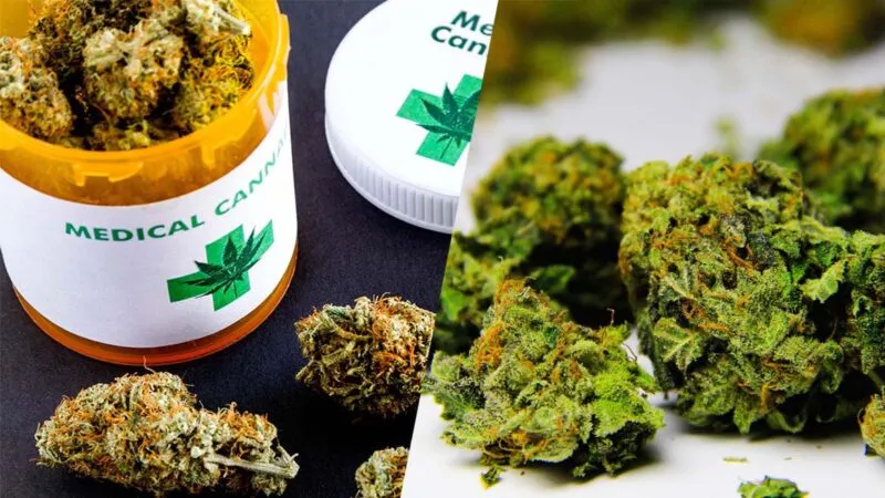 marihuana medyczna i rekreacyjna różnice