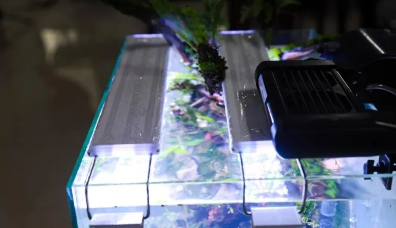 porównanie filtrów akwarystycznych Eheim Aquael Tetra