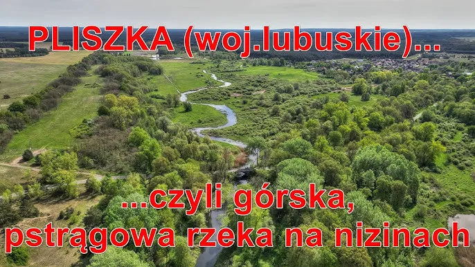 G&oacute;rska rzeka pstrągowa w Polsce