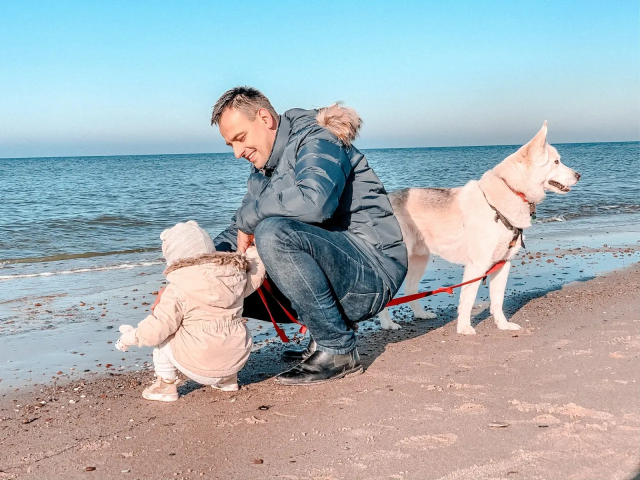 Pies na plaży nad morzem, wakacje z psem checklist