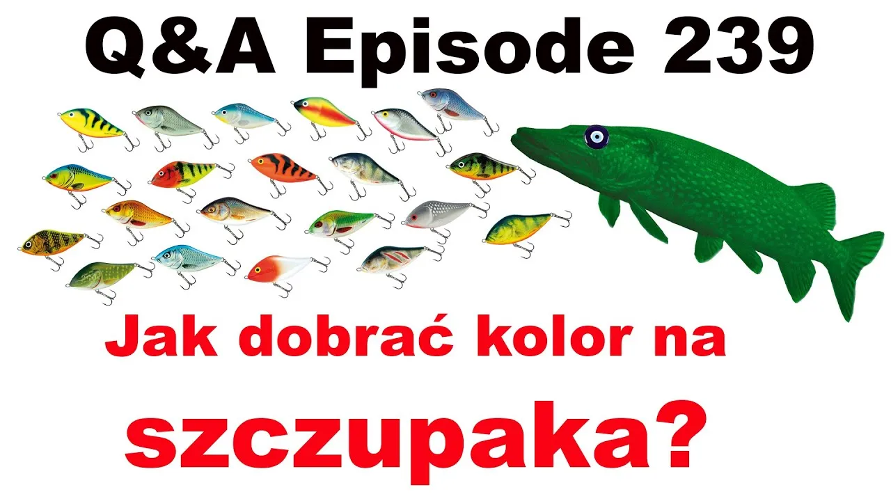 kolory przynęt na szczupaka w r&oacute;żnych warunkach