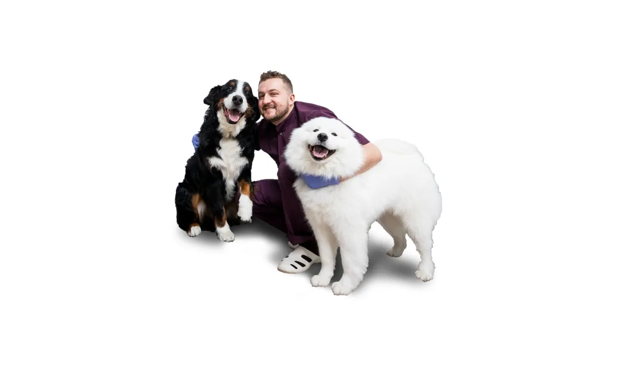 weterynarz w niemieckiej klinice