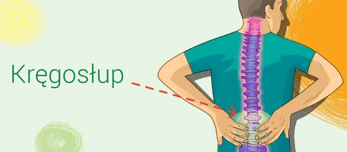 R&oacute;żni specjaliści leczący kręgosłup ikony