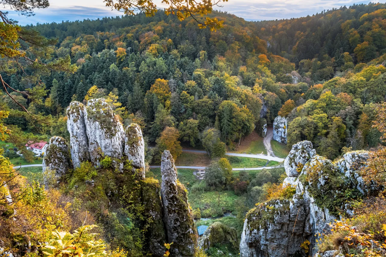 Malowniczy krajobraz jesienny z wapiennymi skałami i lasem. Idealne miejsce na przejażdżkę rowerową po Ojcowskiej trasie.