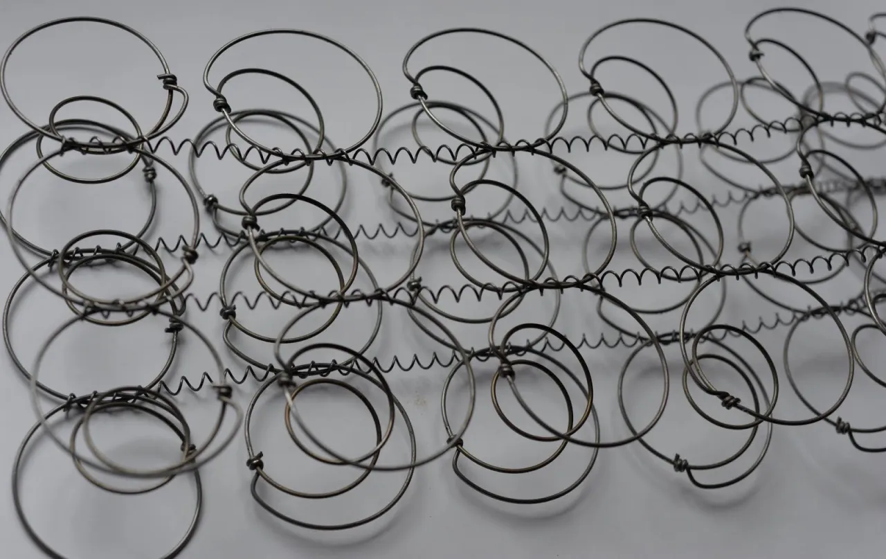 sprężyny bonellowe budowa