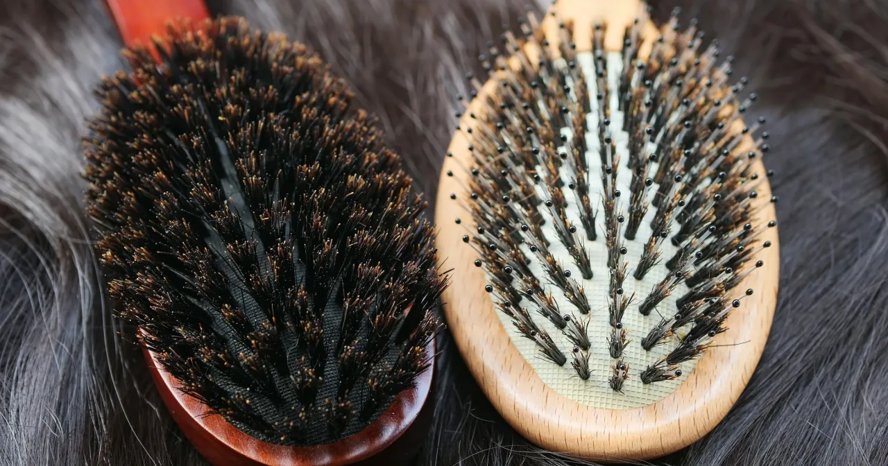 szczotka z włosiem dzika vs szczotka z nylonowymi igłami